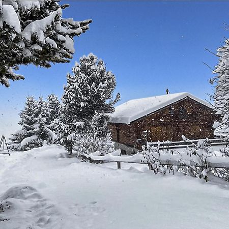 Chalet Albarose - Vercorin Eksteriør bilde