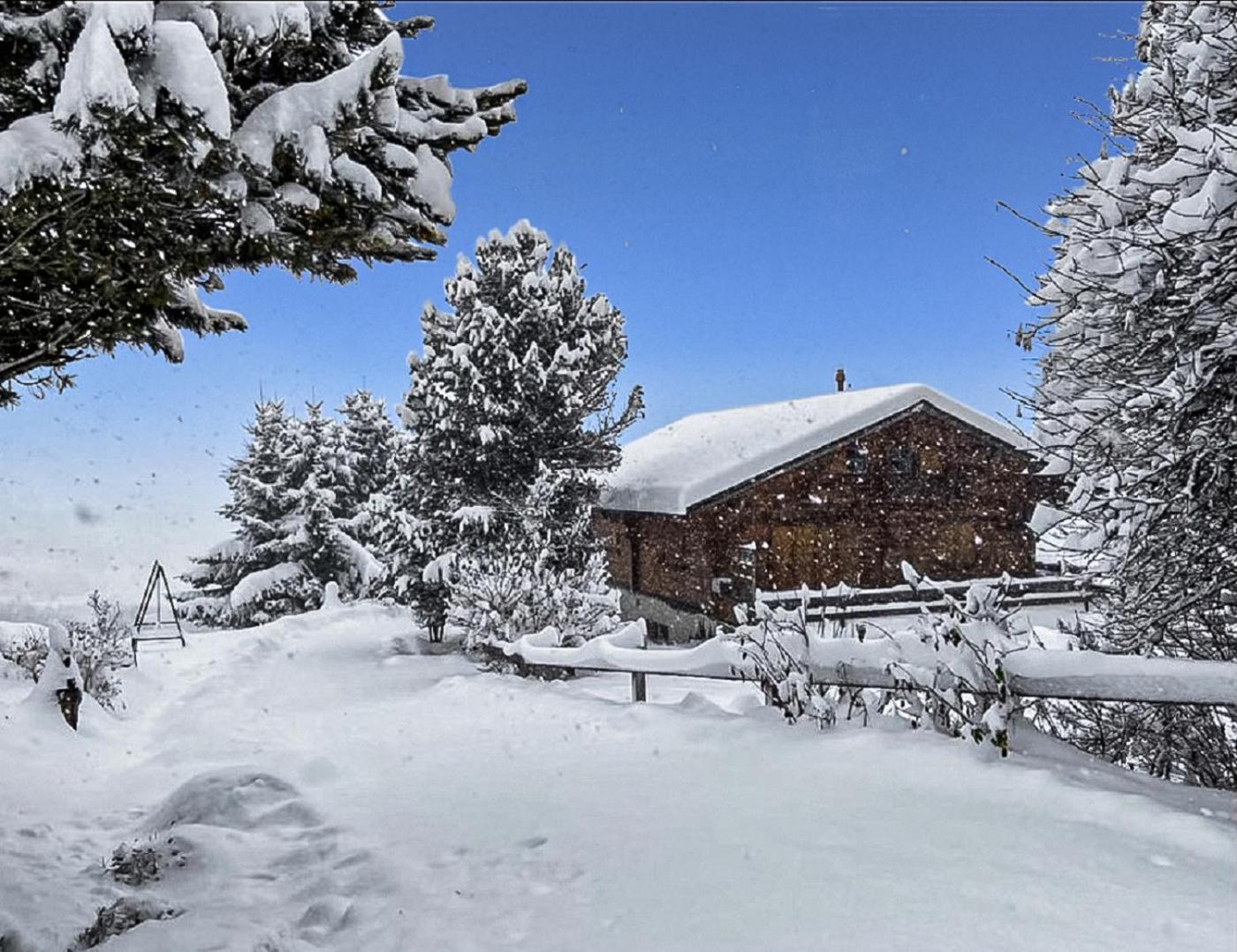 Chalet Albarose - Vercorin Eksteriør bilde